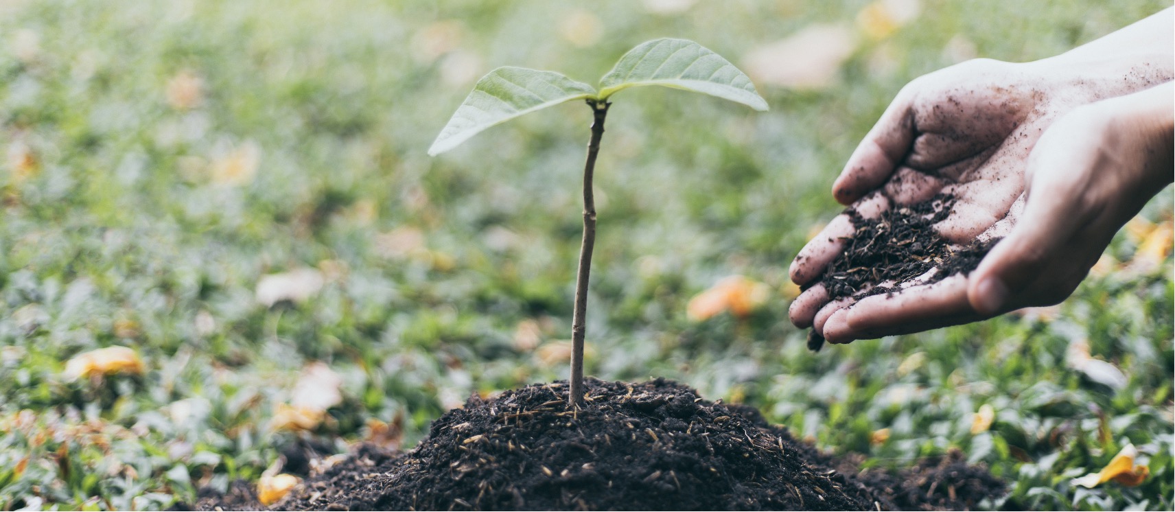 Asmeninis tobulėjimas ir augimas